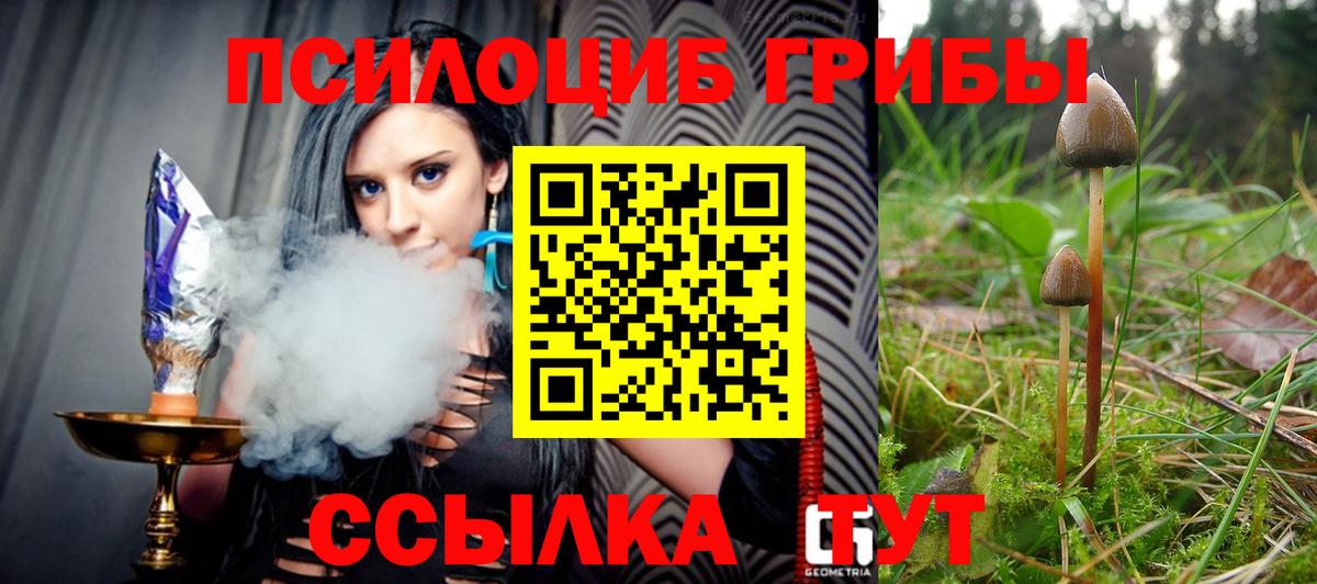 Семилуки  Галлюциногенные грибы Psilocybe  Вход с VPN 